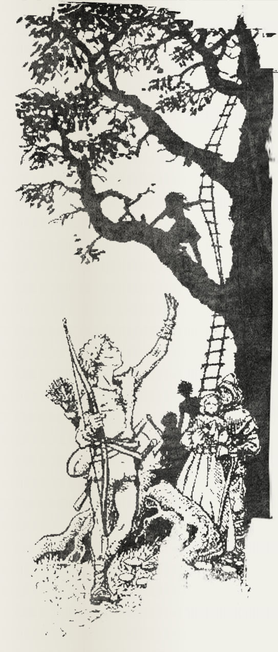 Salthar F.jpg