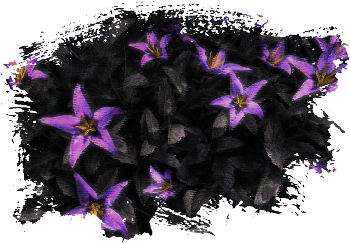 Obscurine 1.png